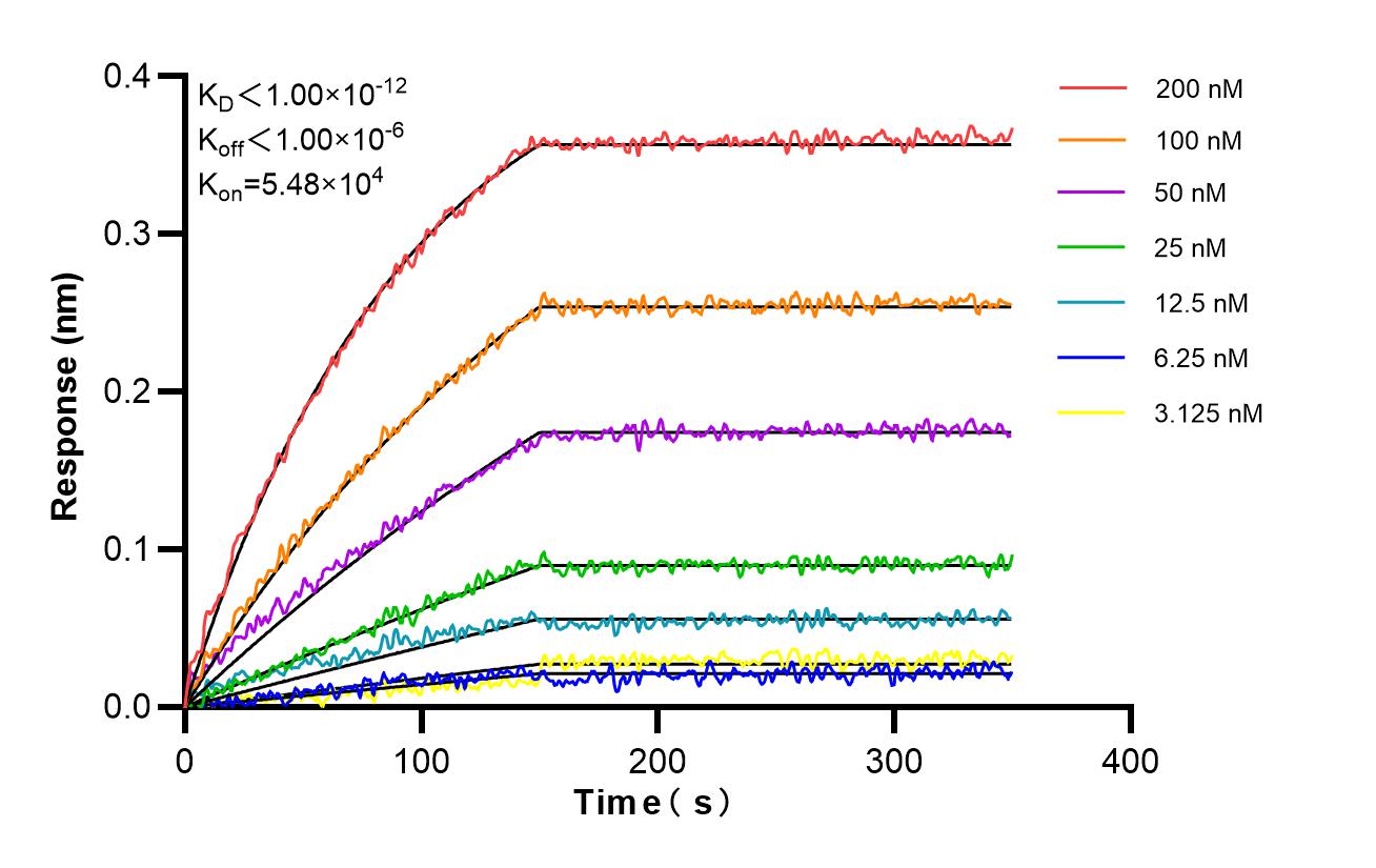 Affinity and Kinetic Characterization of 82792-2-RR