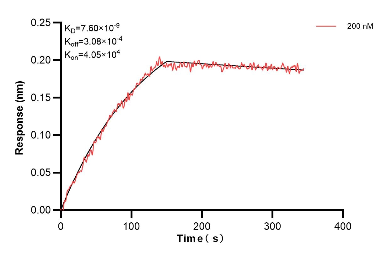 Affinity and Kinetic Characterization of 82811-1-PBS