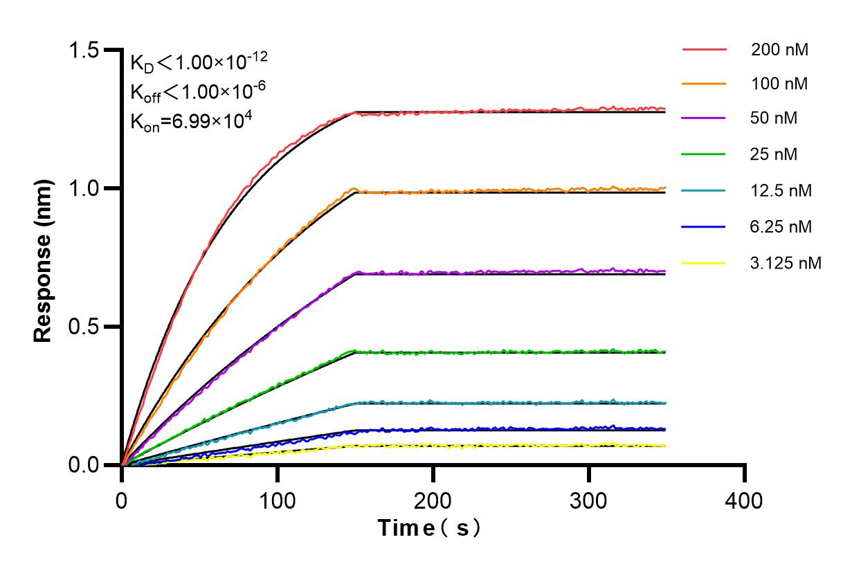 Affinity and Kinetic Characterization of 82829-1-RR