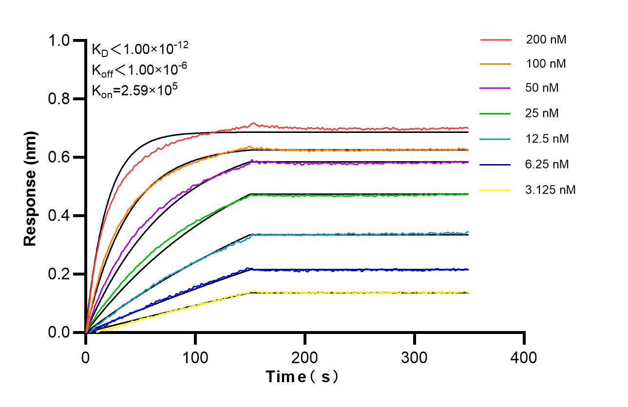 Affinity of 82846-5-RR