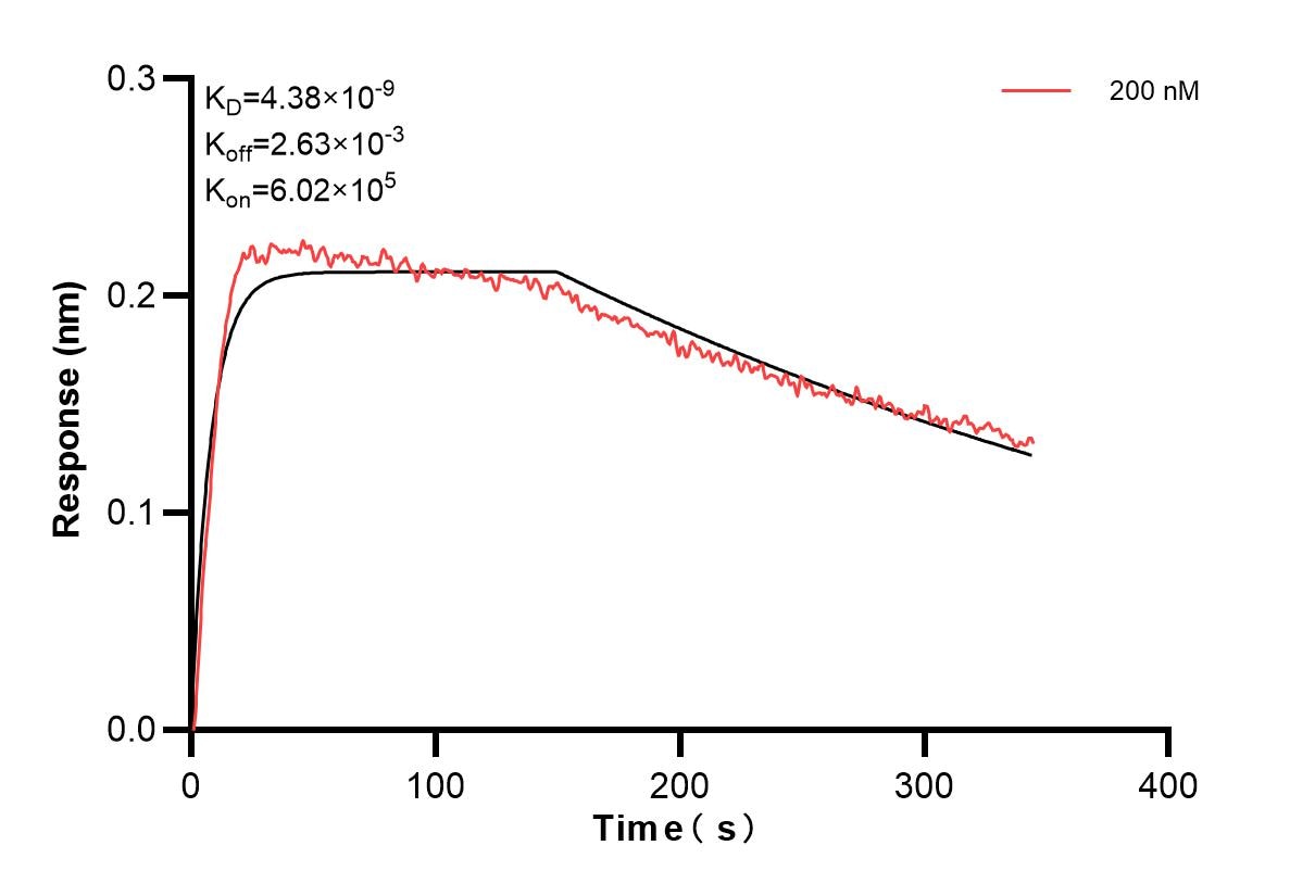 Affinity and Kinetic Characterization of 82861-10-PBS