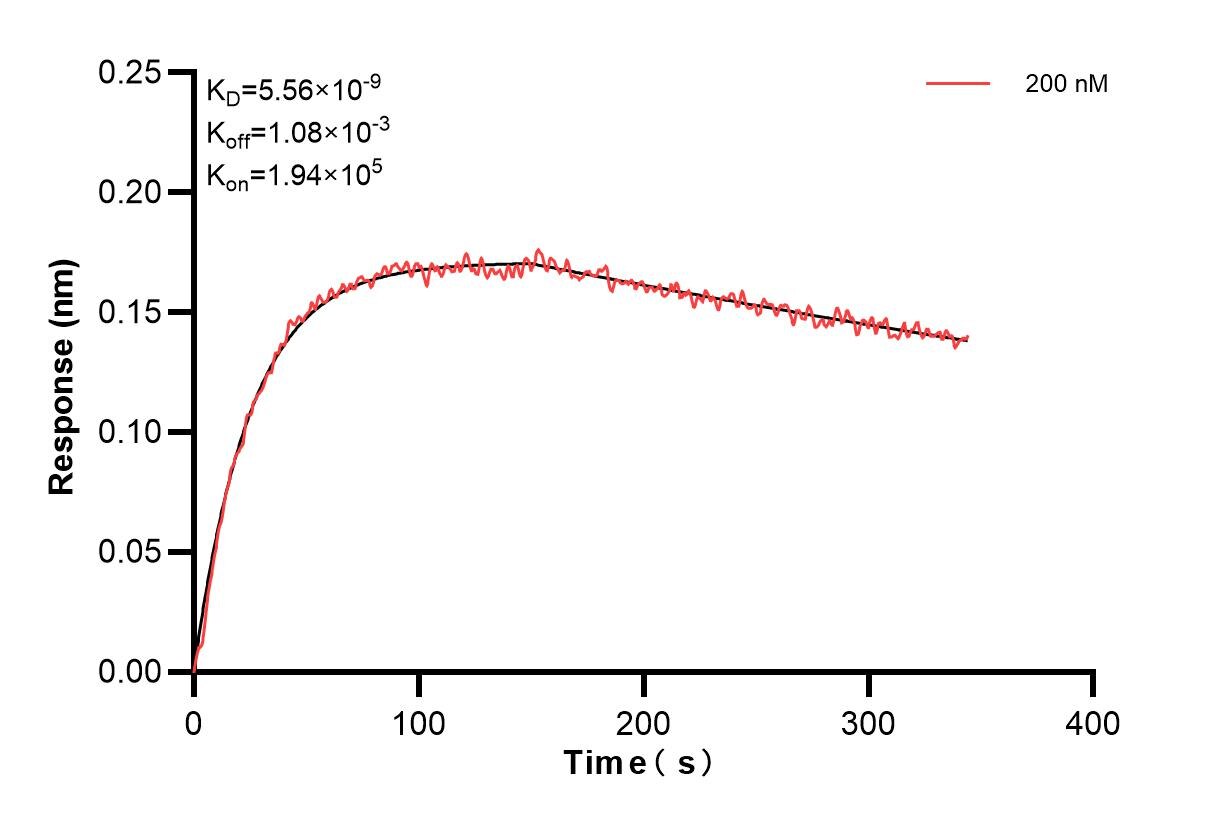Affinity and Kinetic Characterization of 82861-8-PBS