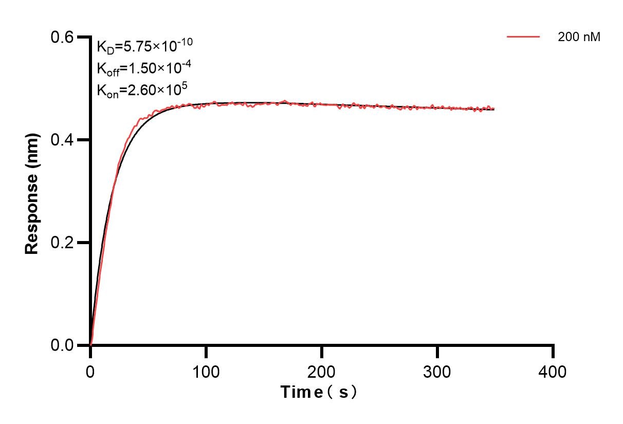 Affinity and Kinetic Characterization of 82863-7-PBS