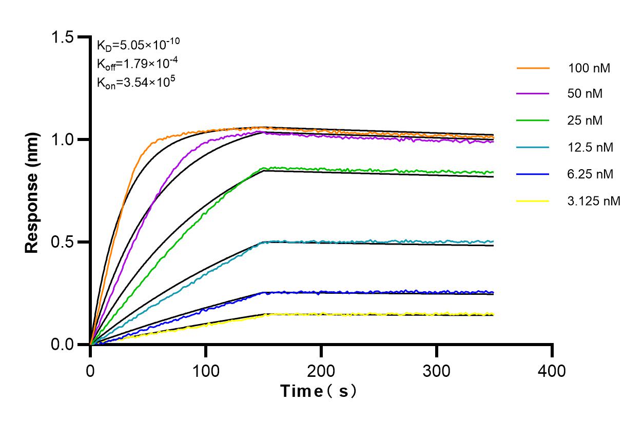 Affinity and Kinetic Characterization of 82864-16-RR