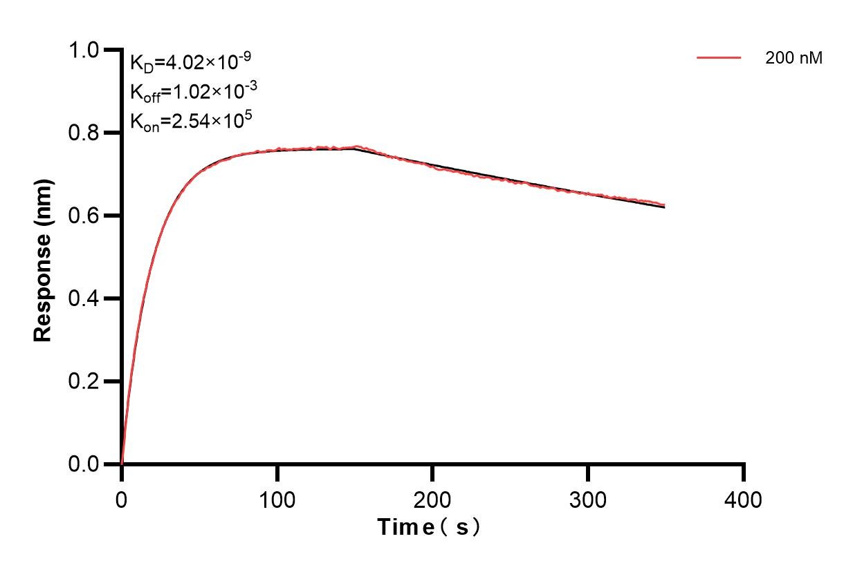 Affinity and Kinetic Characterization of 82889-1-PBS Affinity and Kinetic Characterization of 82889-1-PBS