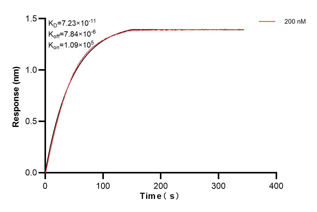 Affinity and Kinetic Characterization of 82893-6-PBS