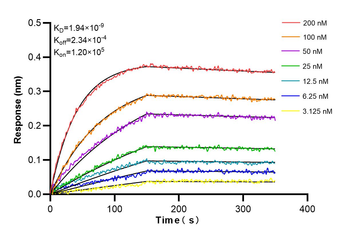 Affinity and Kinetic Characterization of 82909-8-RR