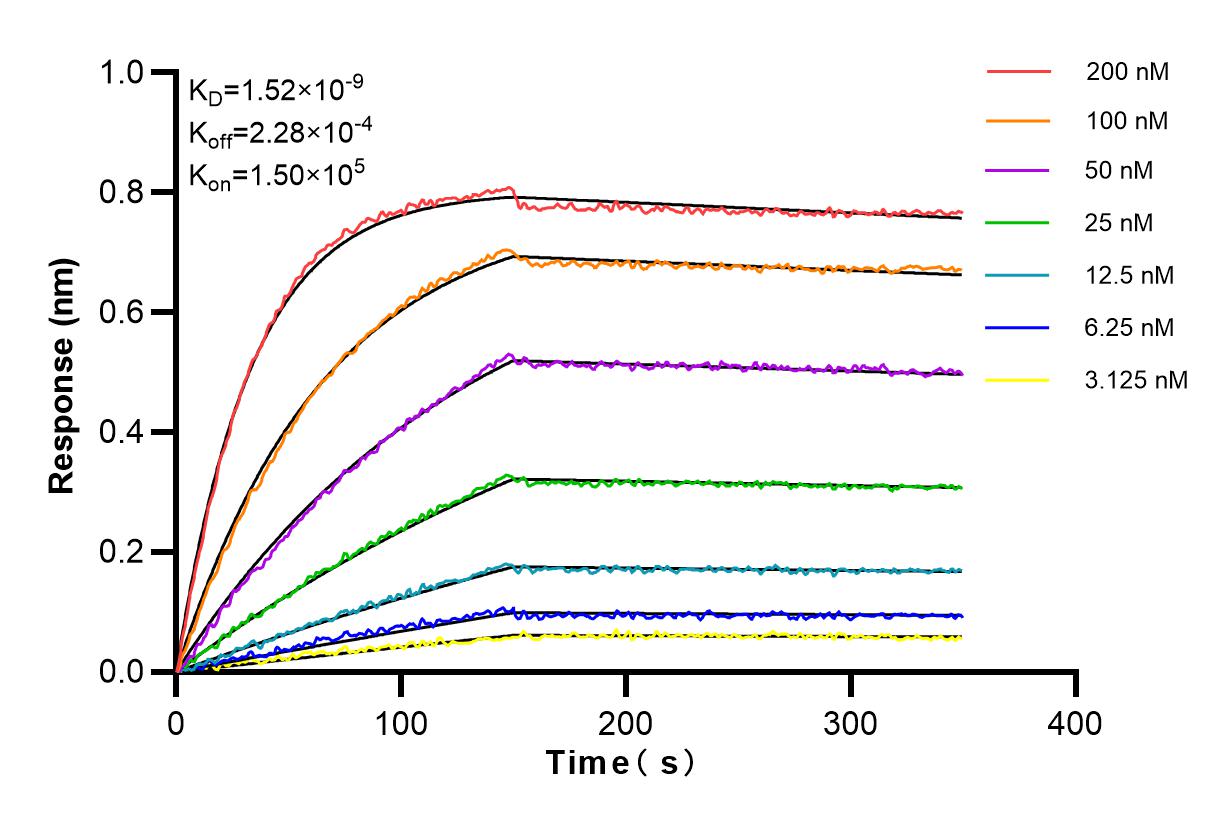 Affinity and Kinetic Characterization of 82911-1-RR