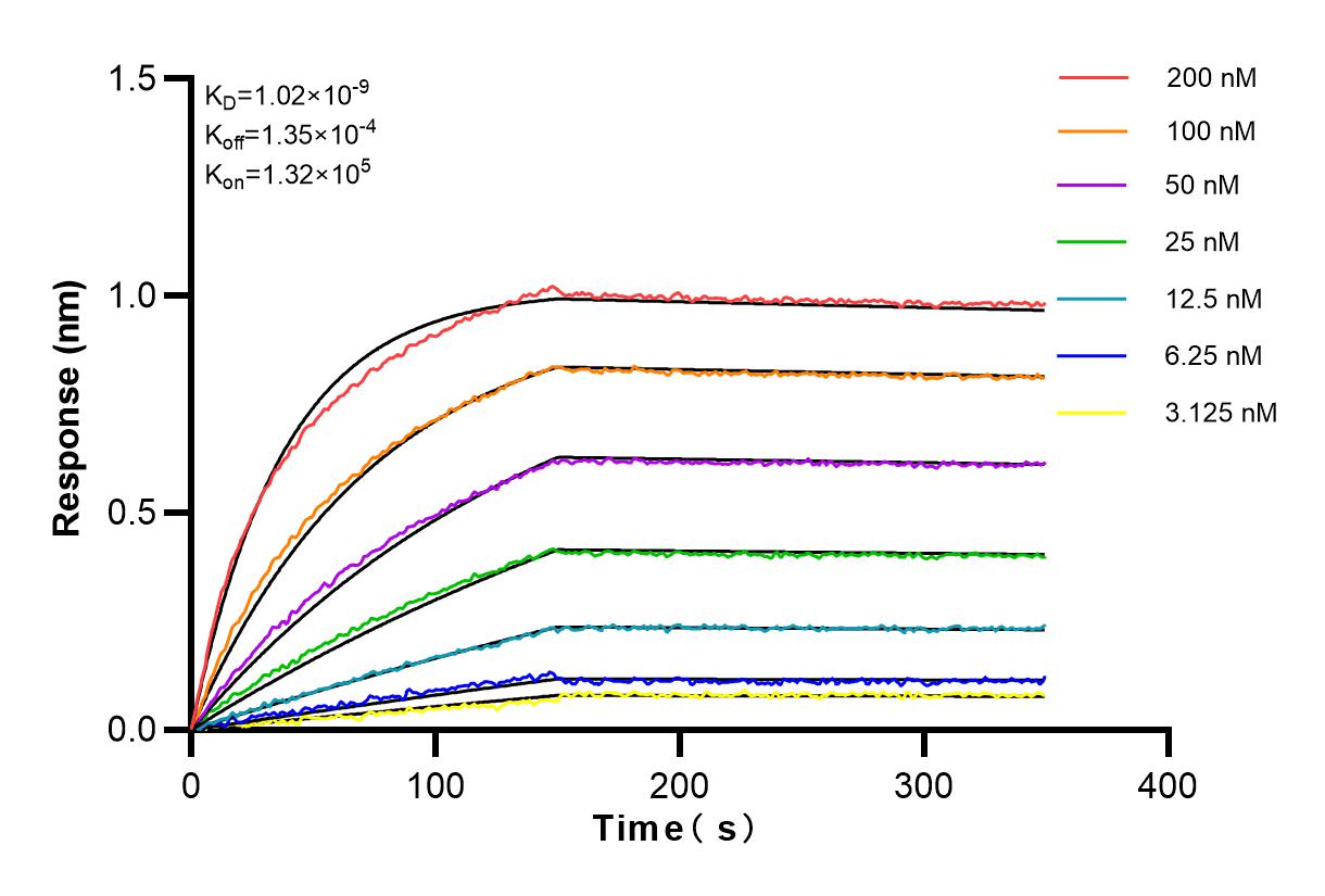 Affinity and Kinetic Characterization of 82913-3-RR