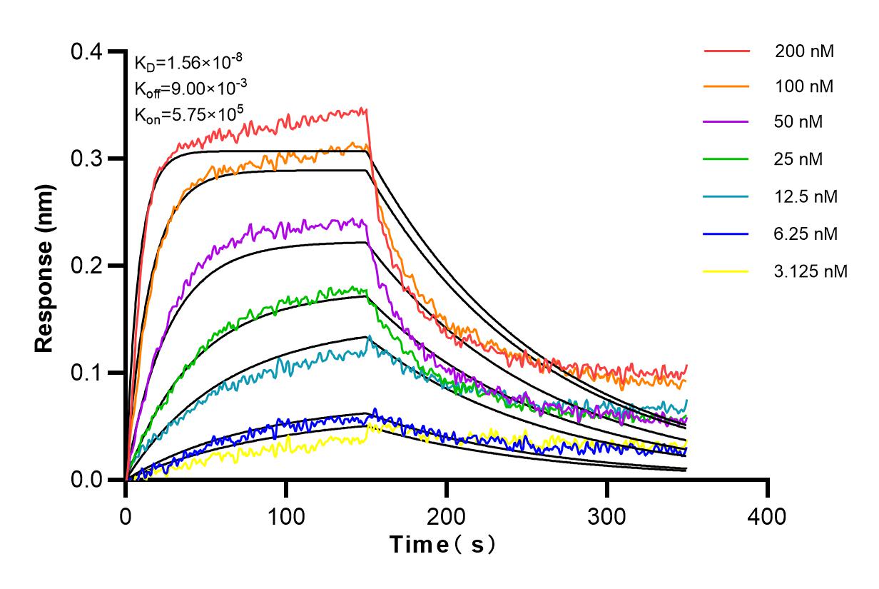Affinity and Kinetic Characterization of 82914-1-RR