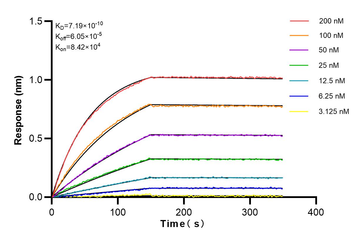 Affinity and Kinetic Characterization of 82918-1-RR