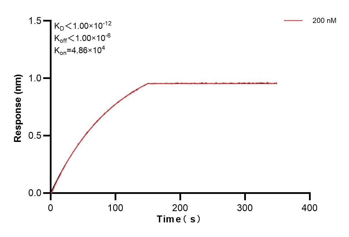 Biolayer interferometry (BLl) kinetic assay of 82940-1-PBS against Human CAMP was performed. The affinity constant is below 1 pM. Affinity and Kinetic Characterization of 82940-1-PBS