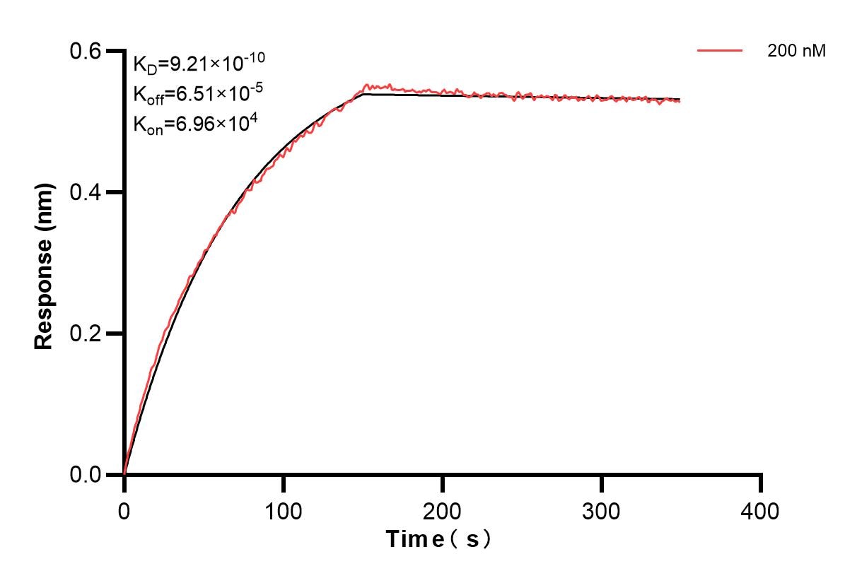 Affinity and Kinetic Characterization of 82943-3-PBS