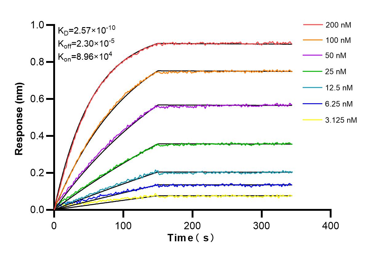 Affinity and Kinetic Characterization of 82958-6-RR