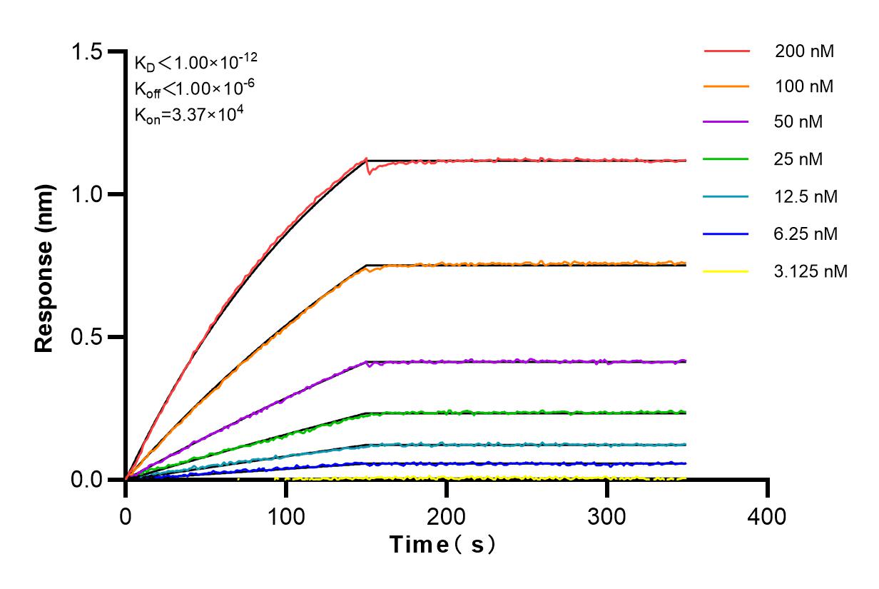 Affinity and Kinetic Characterization of 82966-2-RR