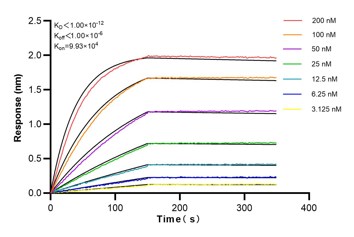 Affinity and Kinetic Characterization of 82967-4-RR