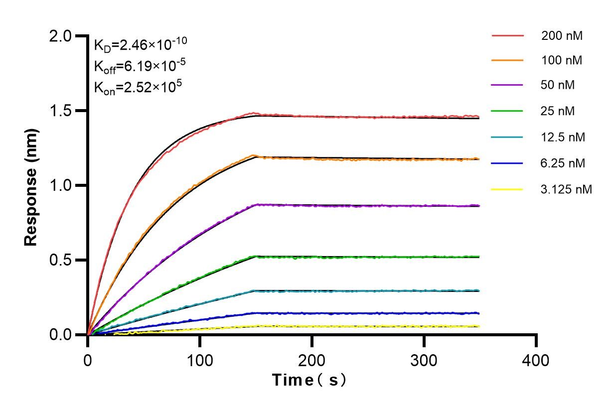 Affinity and Kinetic Characterization of 82973-1-PBS