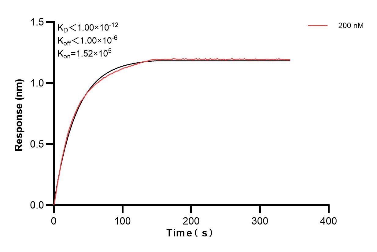 Affinity and Kinetic Characterization of 82985-3-PBS