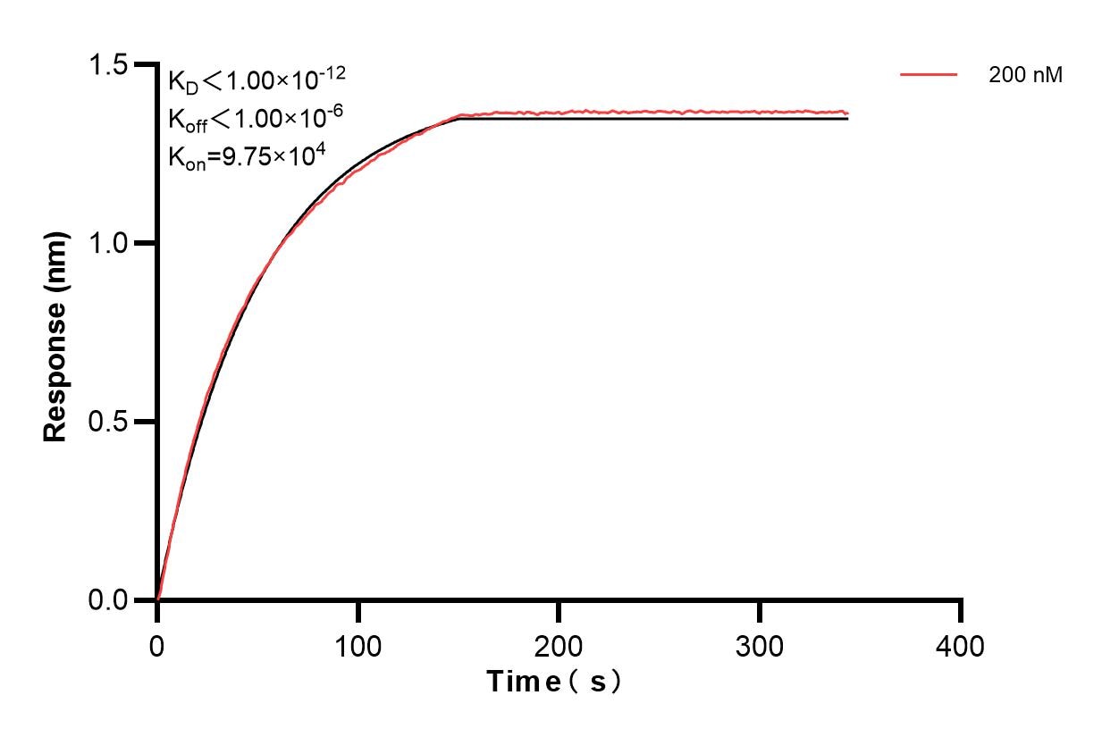 Affinity and Kinetic Characterization of 82985-4-PBS