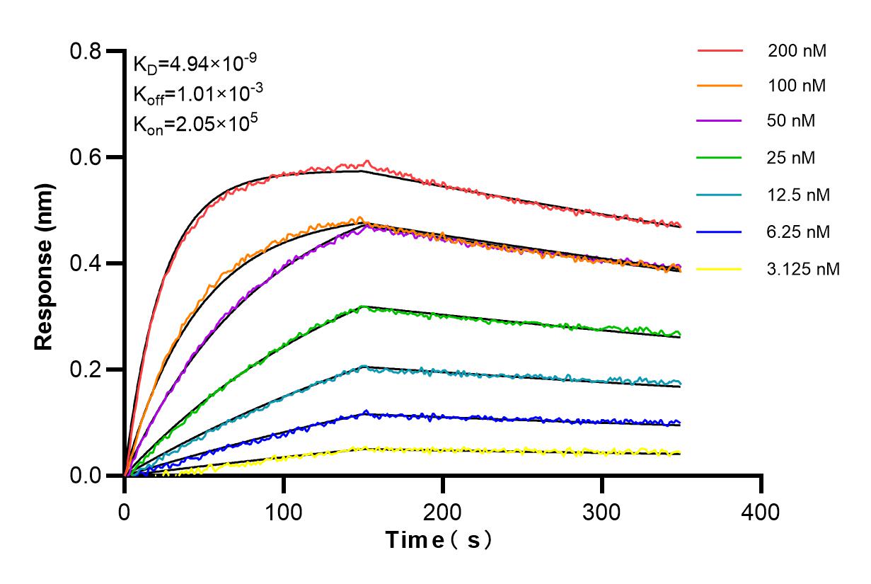 Affinity and Kinetic Characterization of 82991-2-PBS