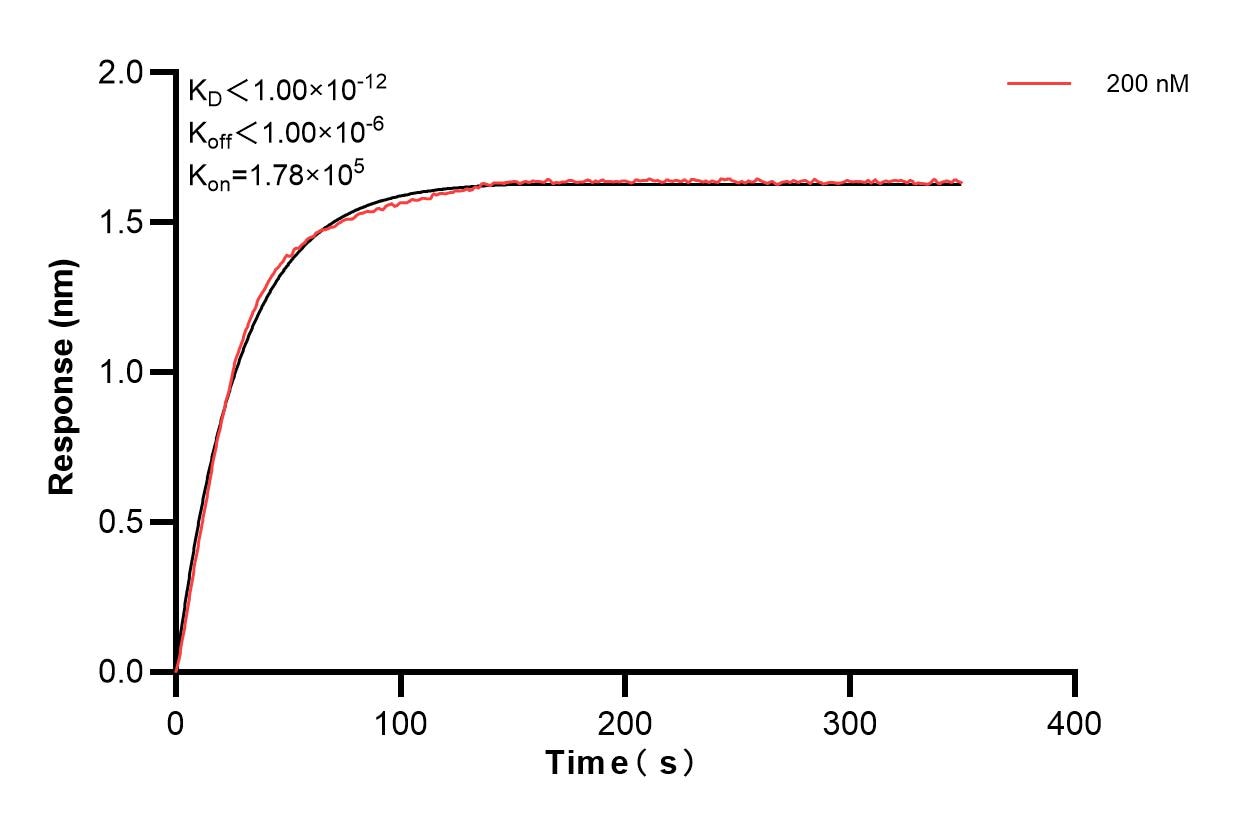 Affinity and Kinetic Characterization of 83003-1-PBS