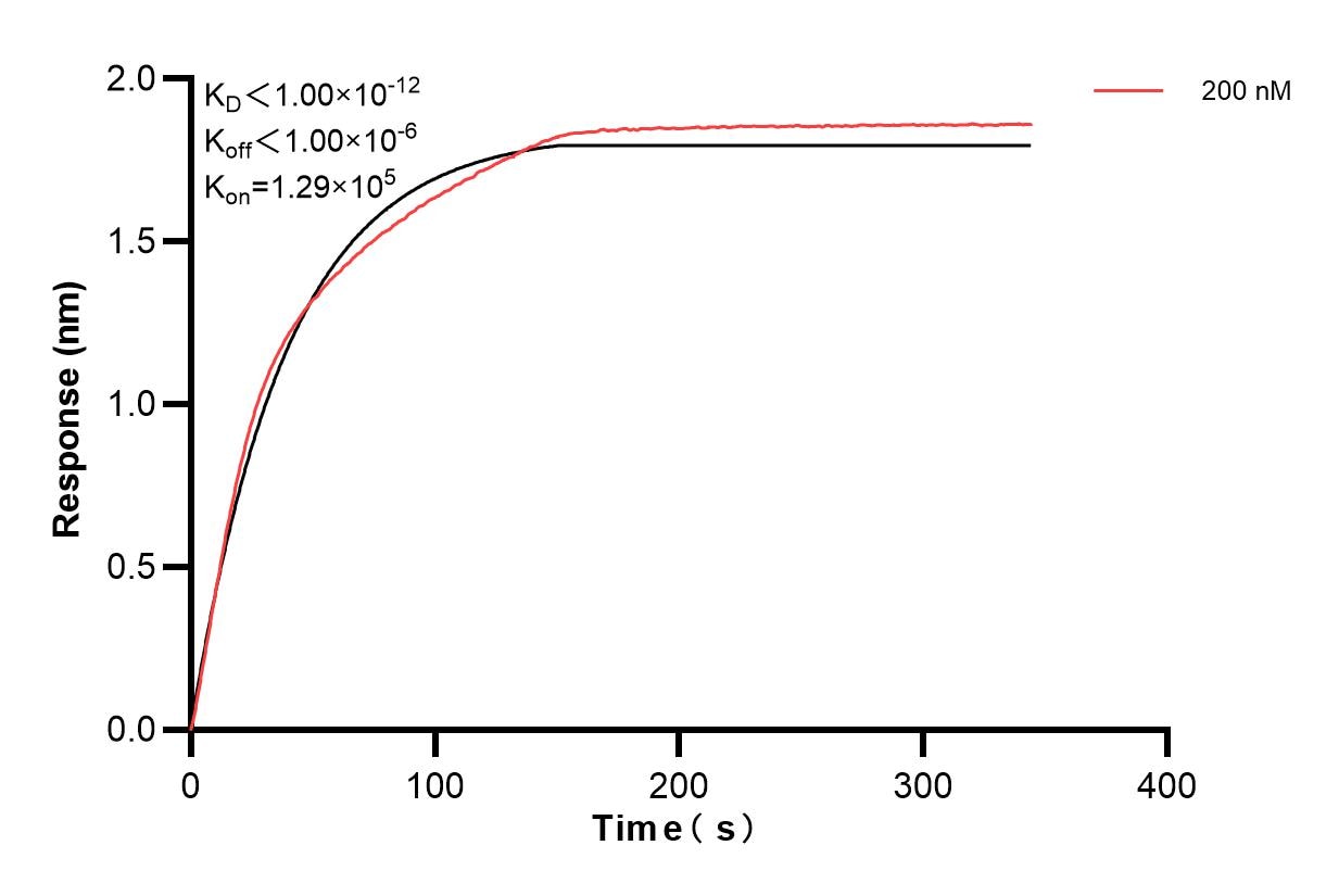 Affinity of 83003-3-PBS