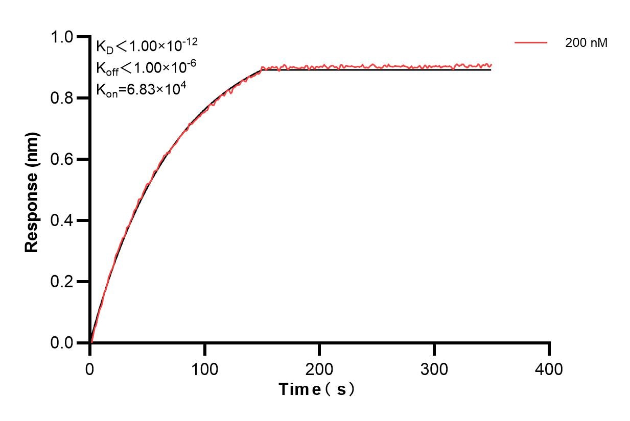 Affinity and Kinetic Characterization of 83003-4-PBS