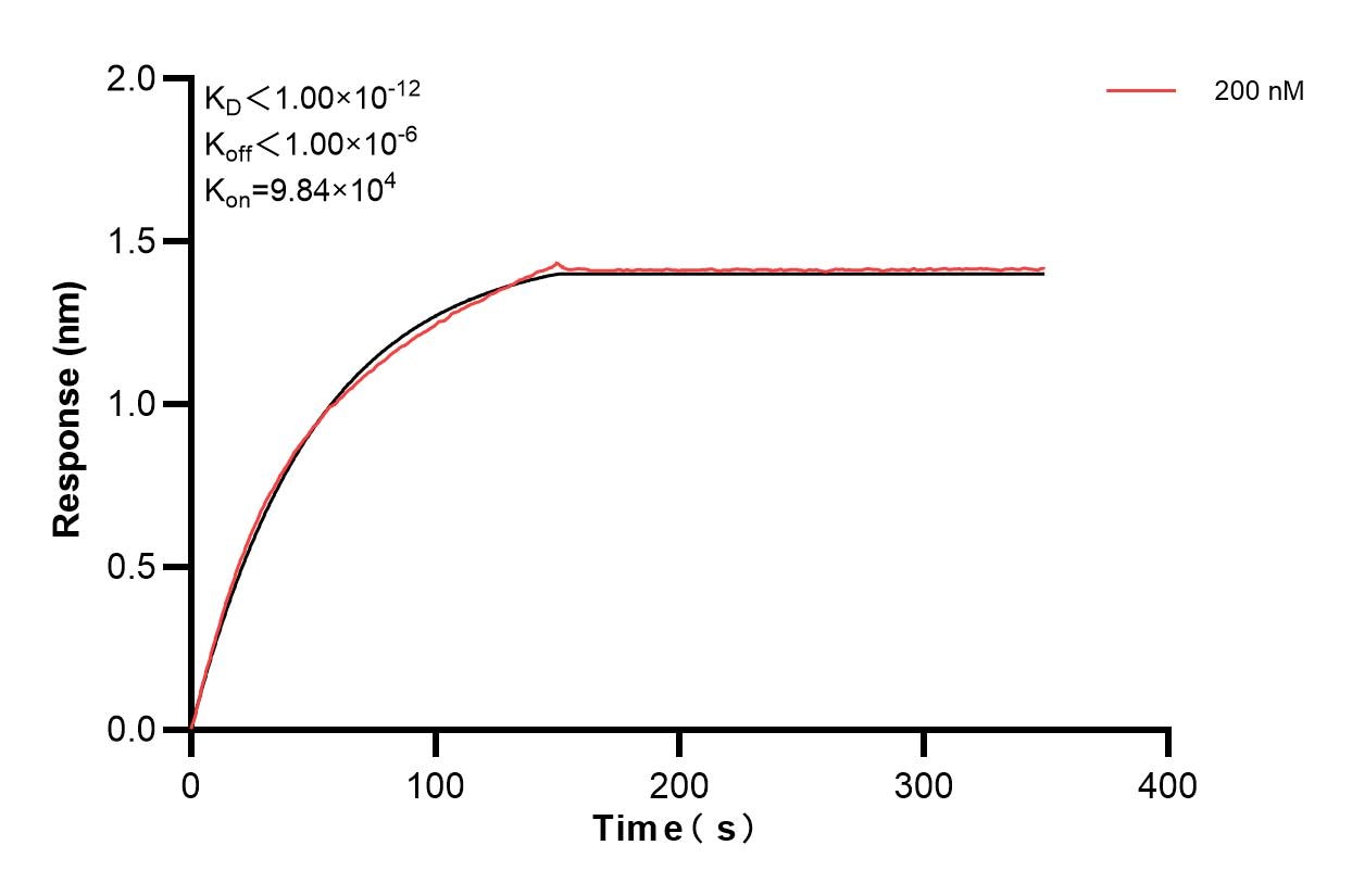 Affinity of 83003-5-PBS Affinity of 83003-5-PBS