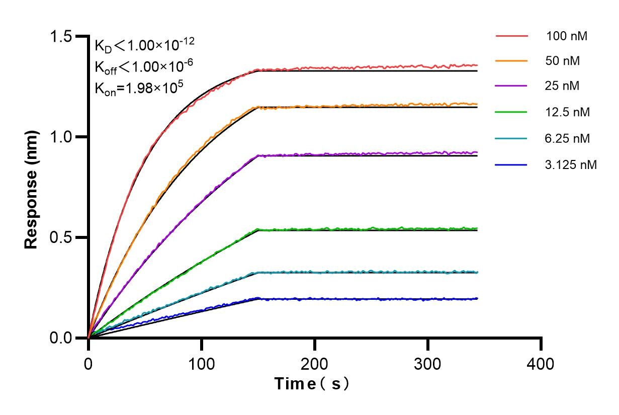 Affinity and Kinetic Characterization of 83008-5-PBS
