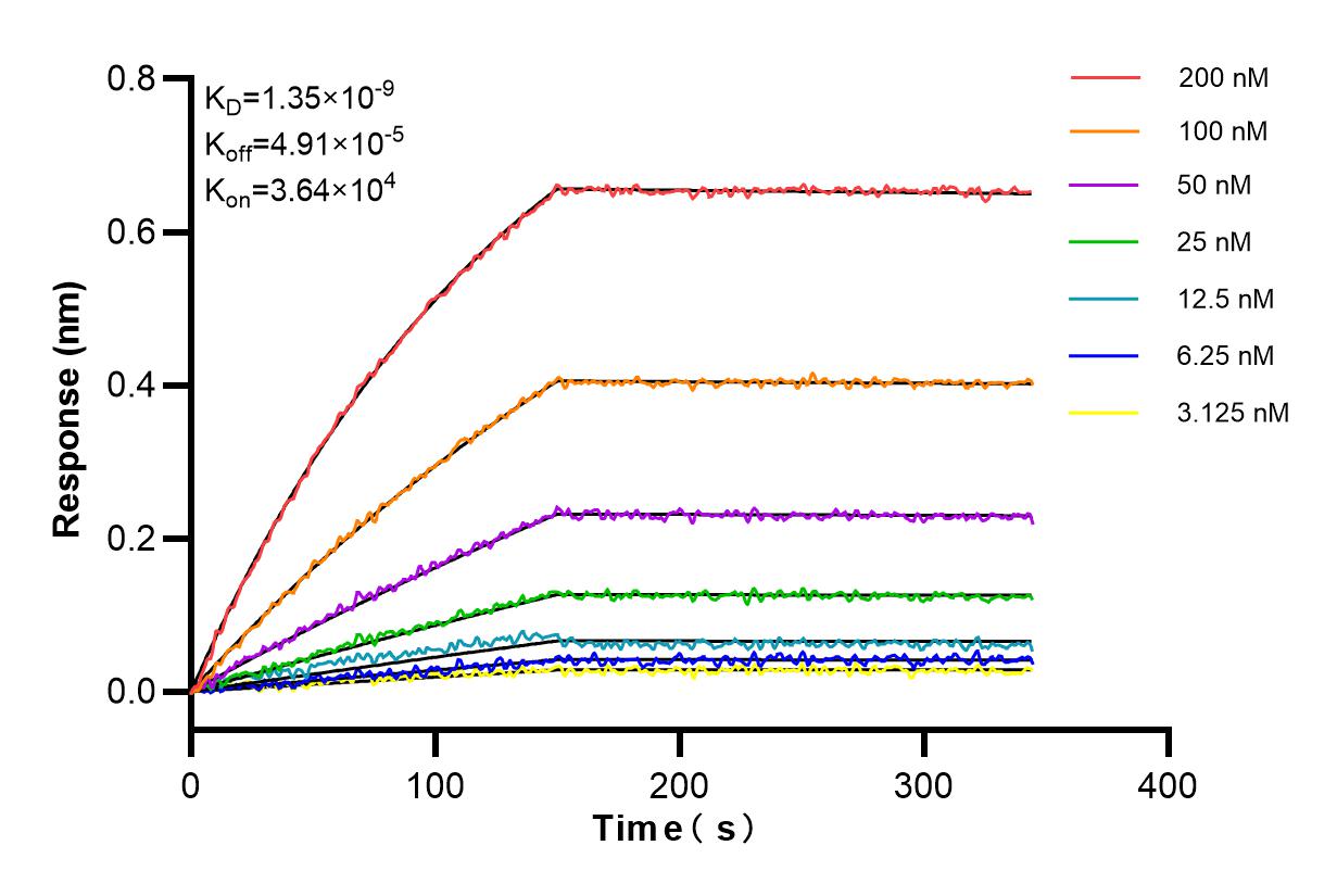 Affinity and Kinetic Characterization of 83008-6-PBS