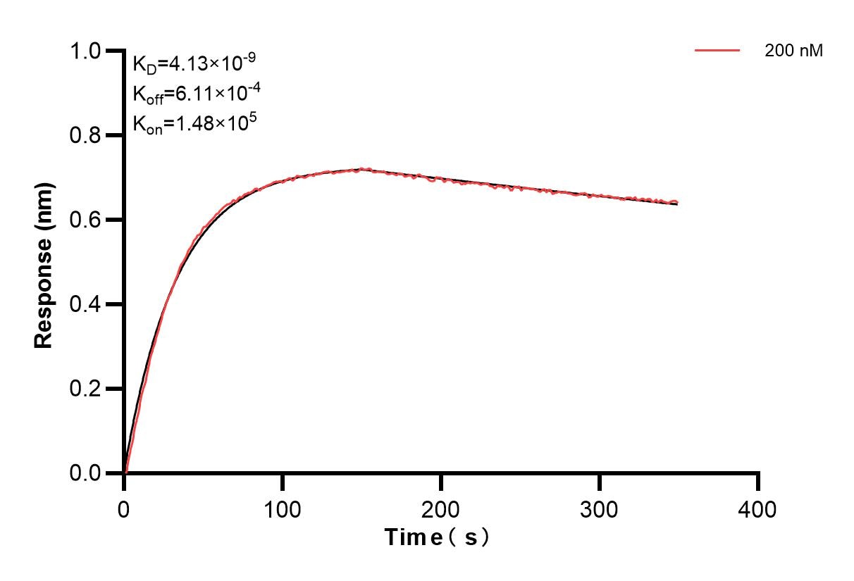 Affinity and Kinetic Characterization of 83013-3-PBS