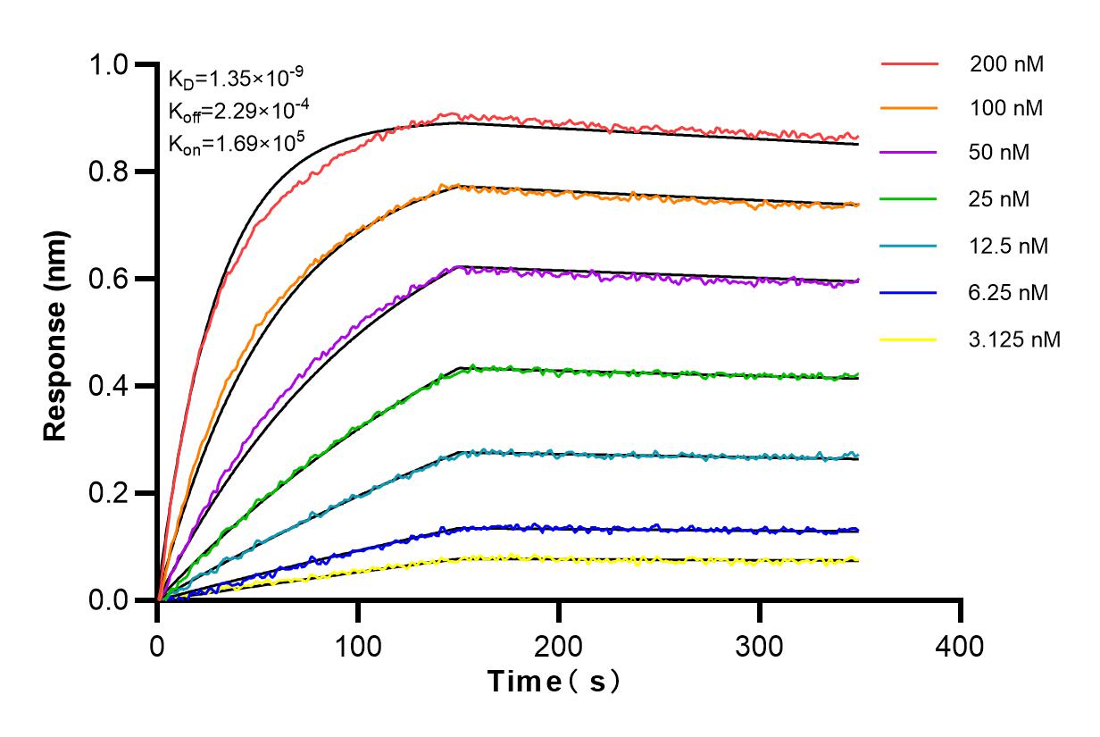 Affinity and Kinetic Characterization of 83018-1-RR