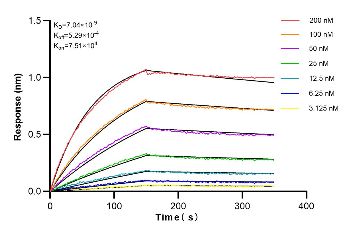 Affinity and Kinetic Characterization of 83026-5-RR