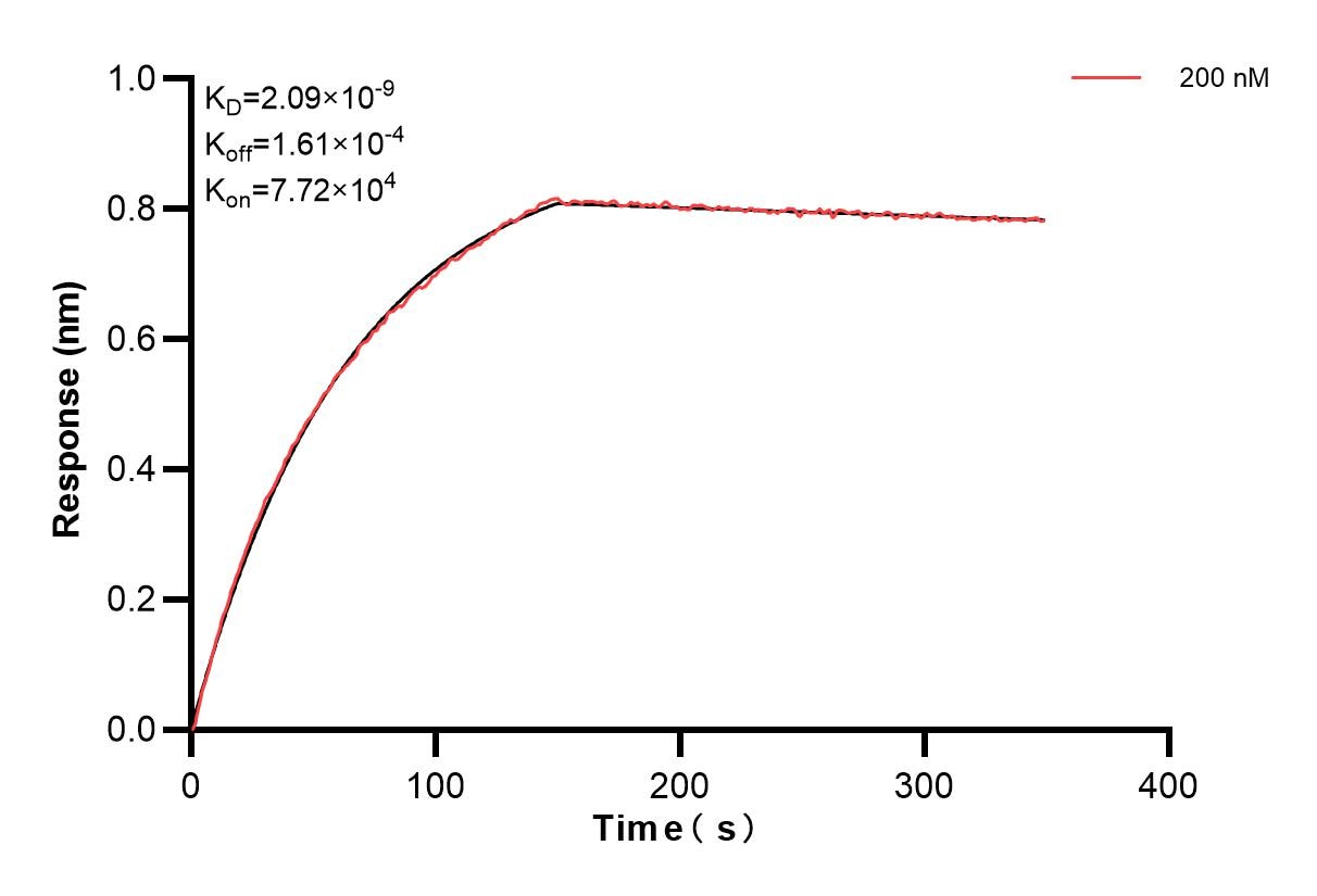 Biolayer interferometry (BLl) kinetic assays of 83029-1-PBS against Human BMPR1B were performed. The affinity constant is 2.09 nM. Affinity and Kinetic Characterization of 83029-1-PBS