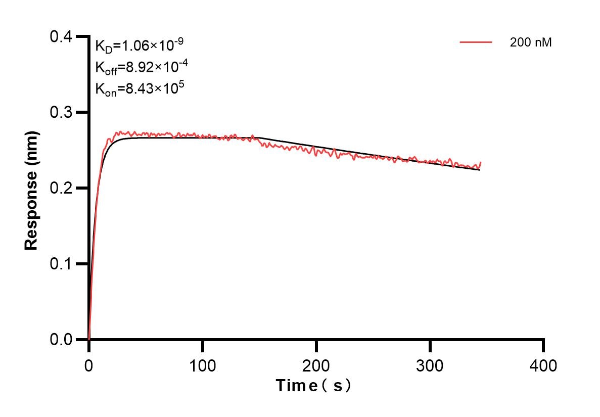 Affinity and Kinetic Characterization of 83033-1-PBS