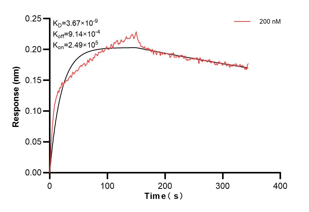 Affinity and Kinetic Characterization of 83033-2-PBS