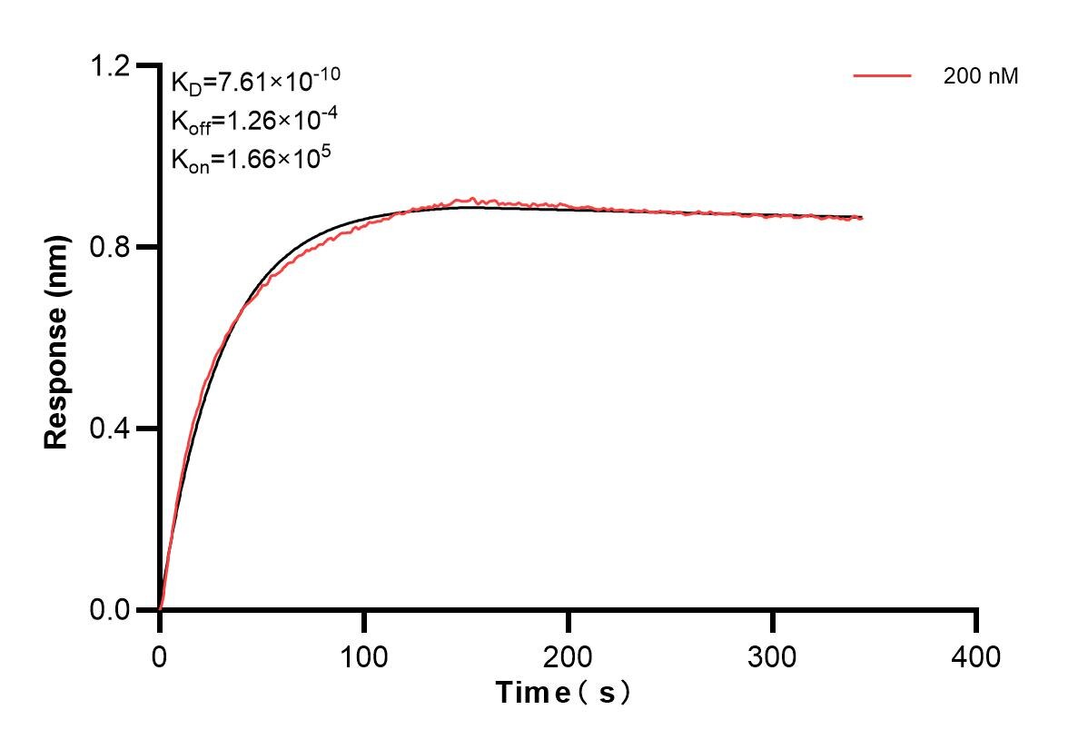 Affinity and Kinetic Characterization of 83039-2-PBS