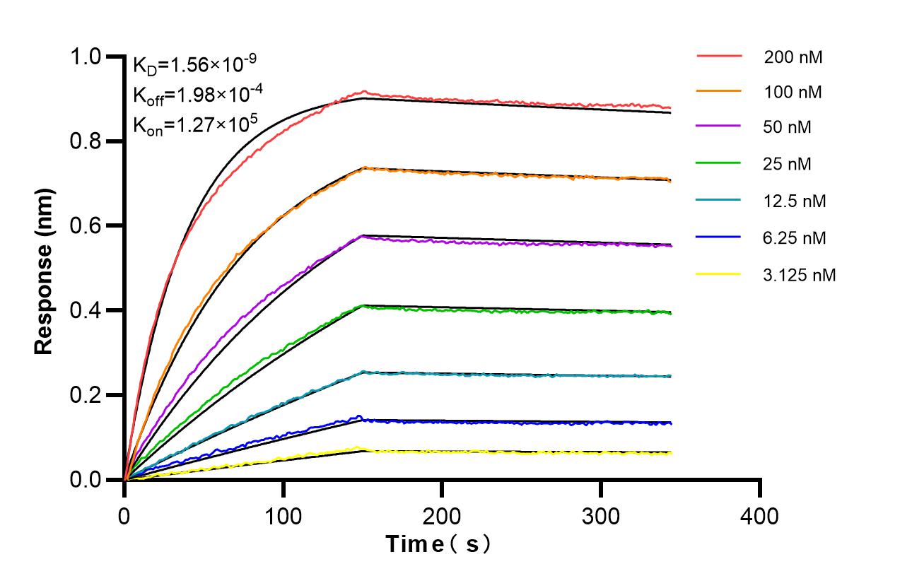 Affinity of 83039-8-RR Affinity of 83039-8-RR