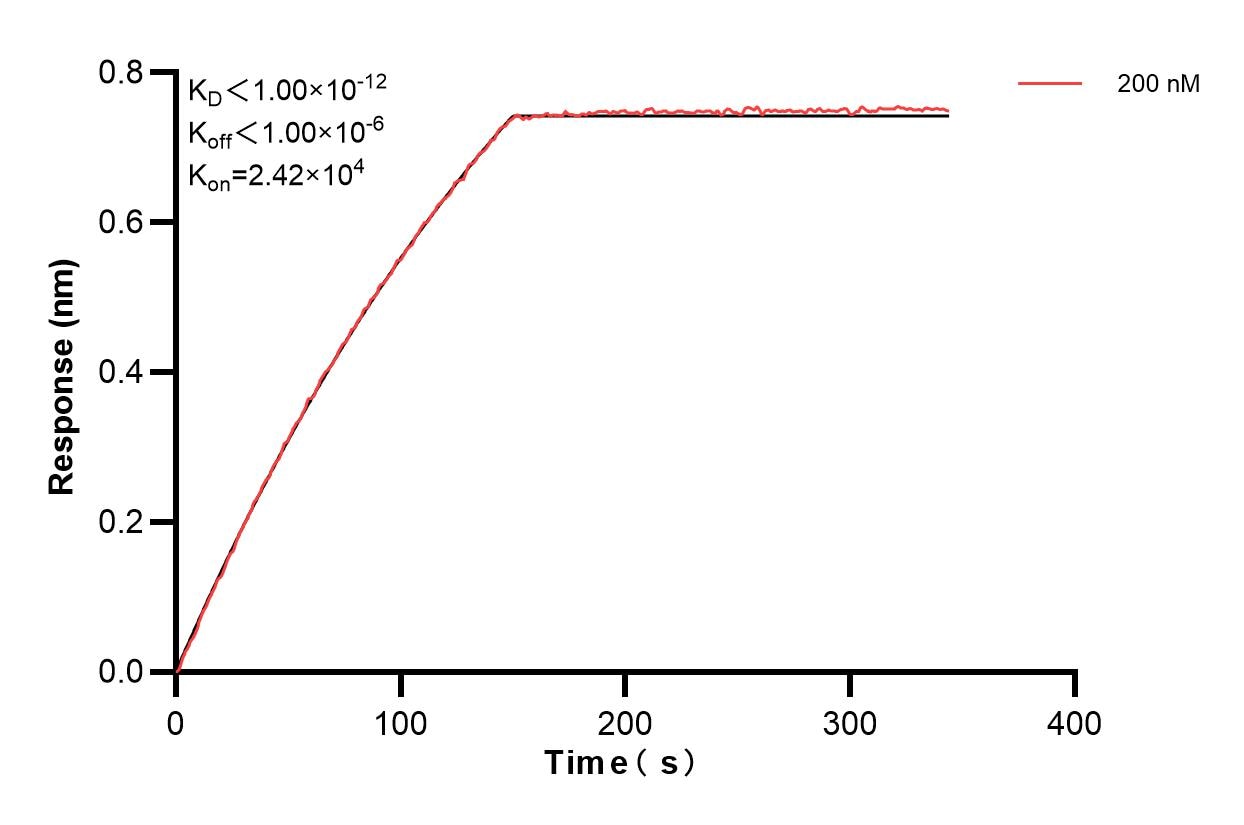 Affinity and Kinetic Characterization of 83042-1-PBS