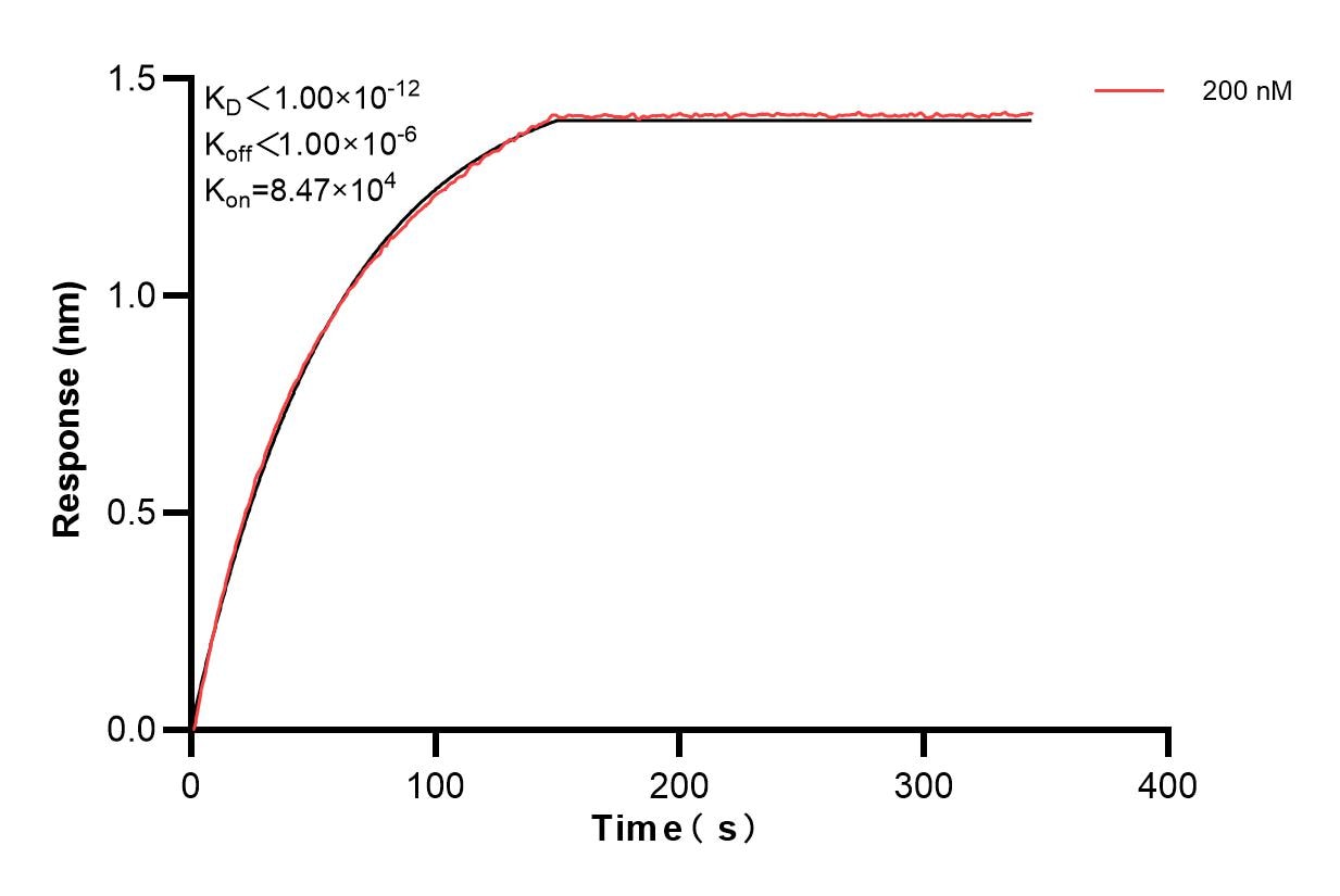 Affinity and Kinetic Characterization of 83042-3-PBS