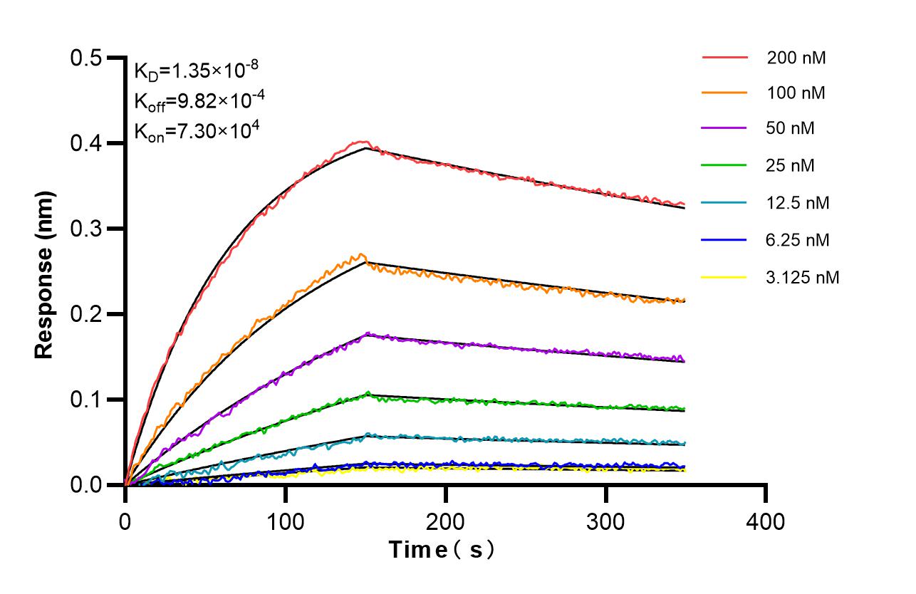 Affinity of 83055-4-RR Affinity of 83055-4-RR