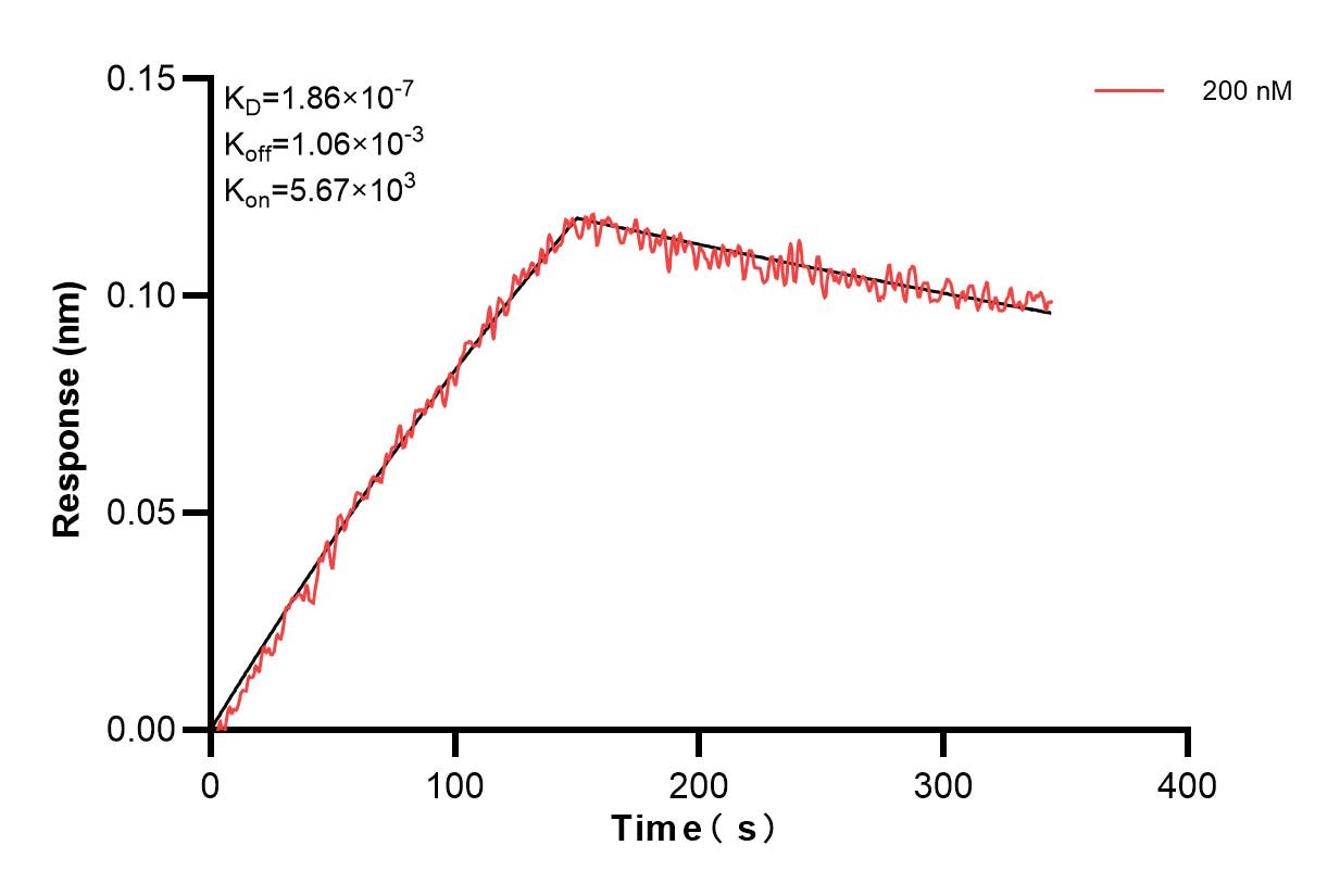 Affinity and Kinetic Characterization of 83058-3-PBS