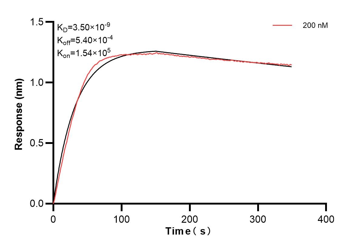Affinity and Kinetic Characterization of 83059-1-PBS
