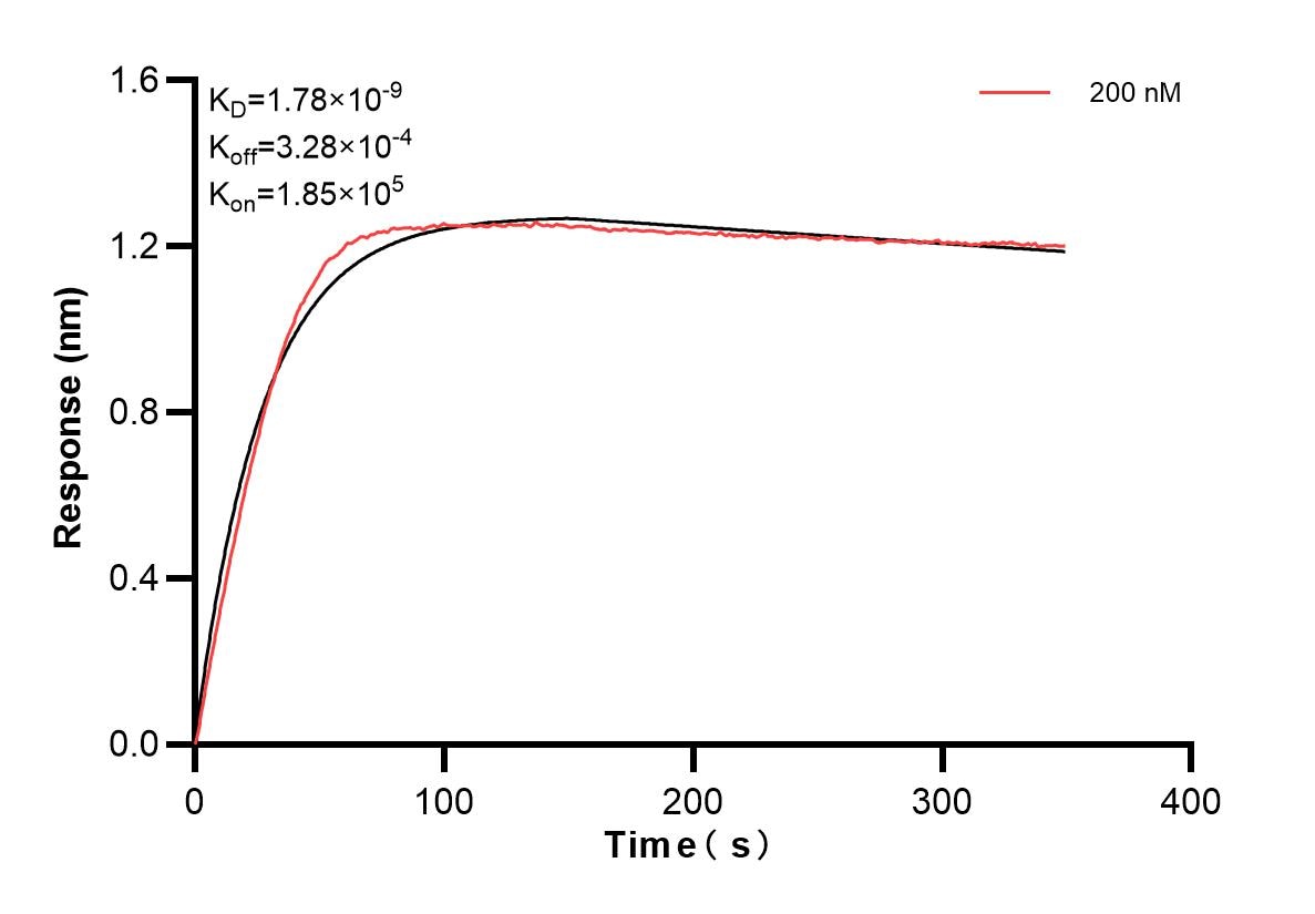 Affinity and Kinetic Characterization of 83059-3-PBS