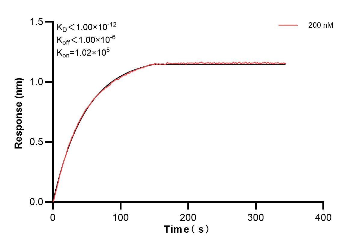 Affinity and Kinetic Characterization of 83075-2-PBS