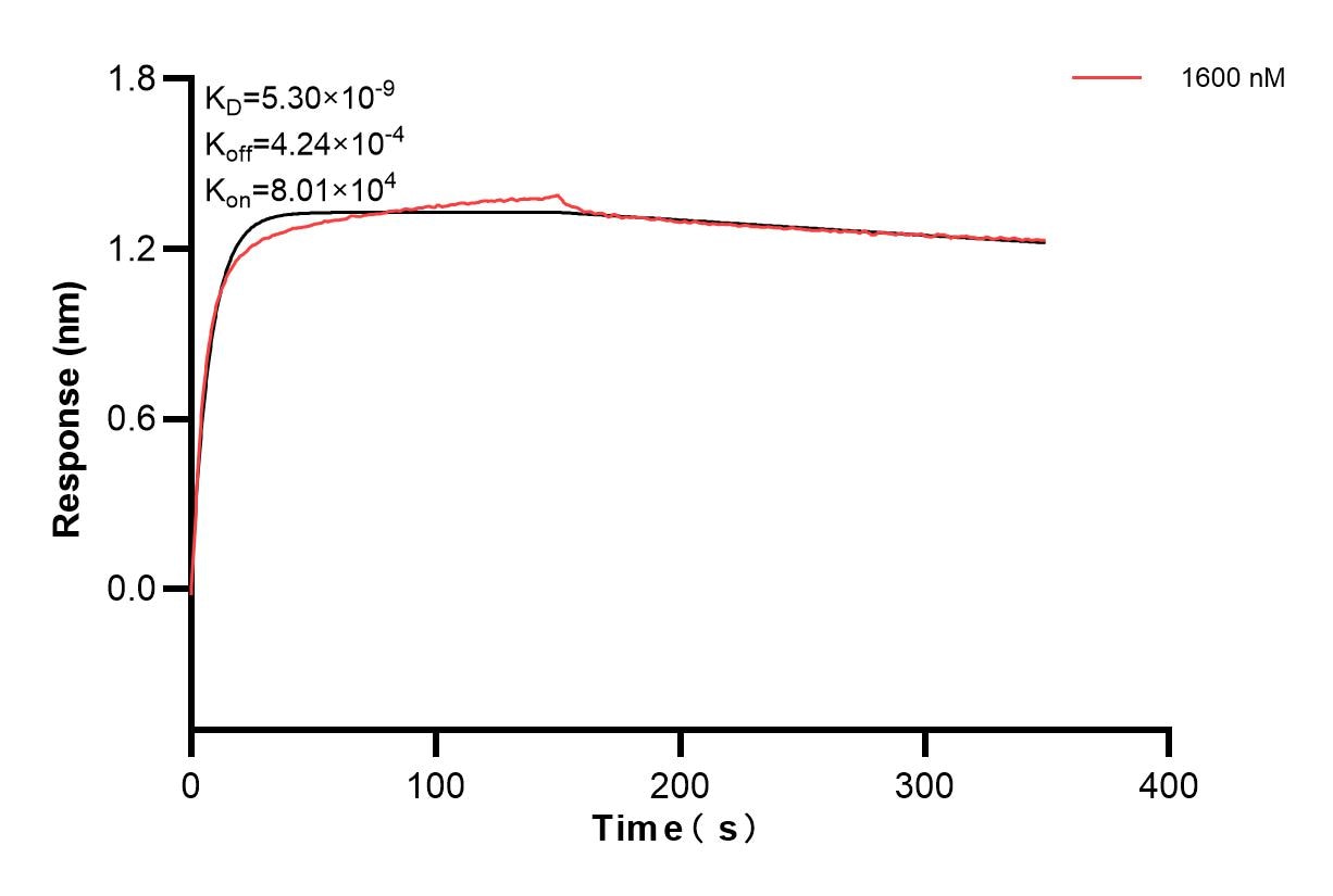 Affinity and Kinetic Characterization of 83076-2-PBS