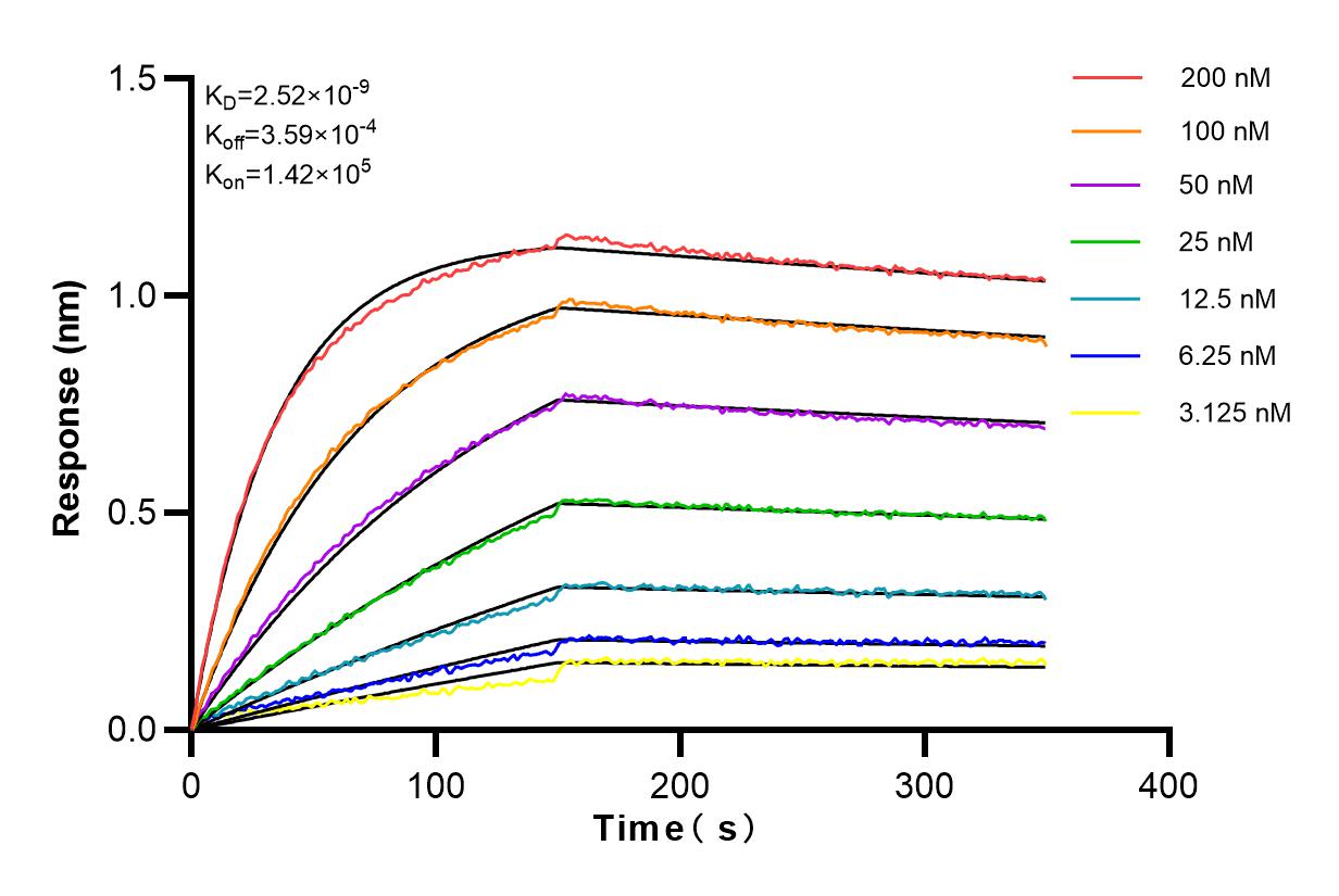 Affinity and Kinetic Characterization of 83081-2-RR