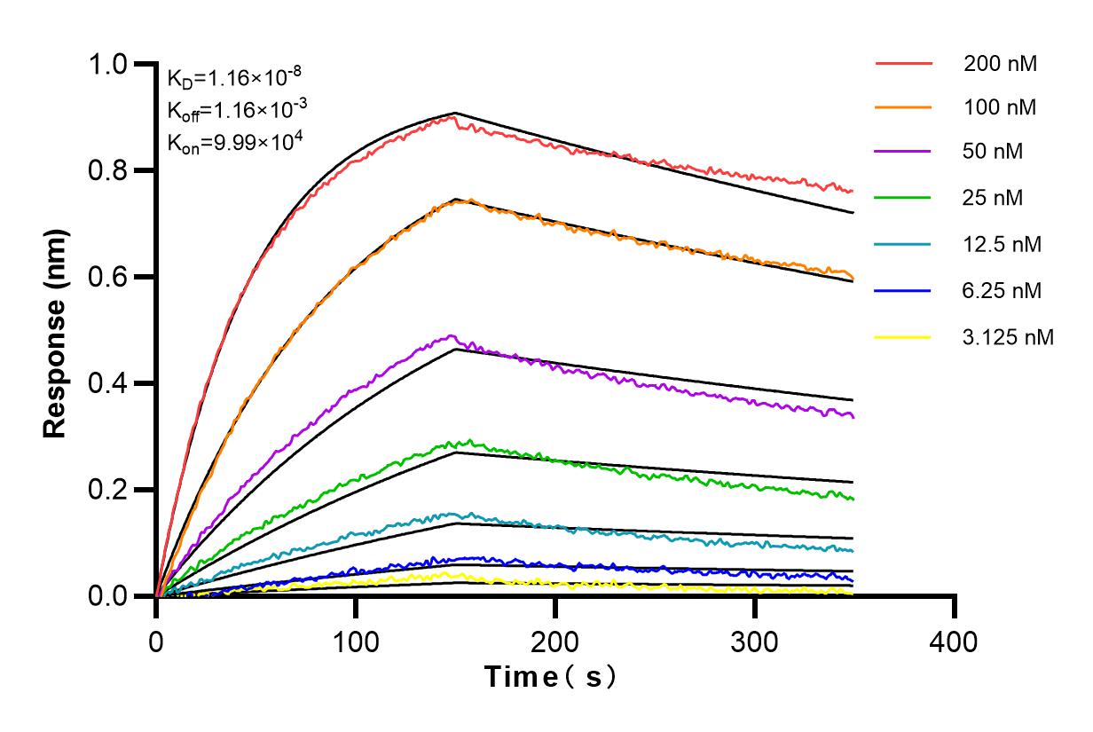 Affinity and Kinetic Characterization of 83084-4-RR