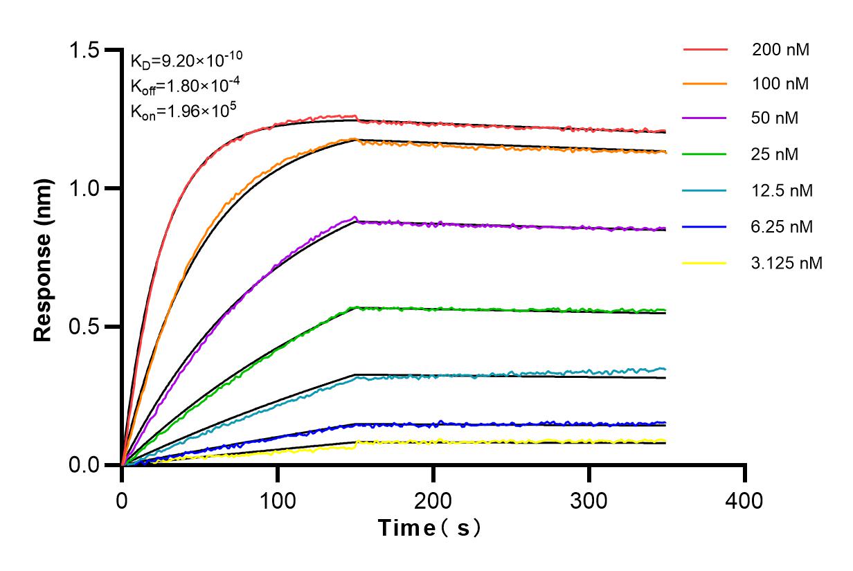 Affinity and Kinetic Characterization of 83085-3-RR