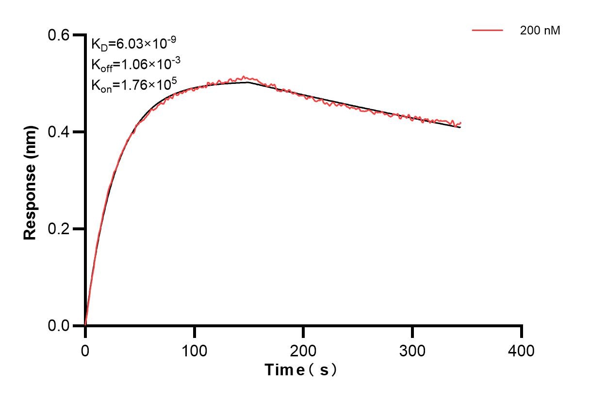 Affinity and Kinetic Characterization of 83101-3-PBS